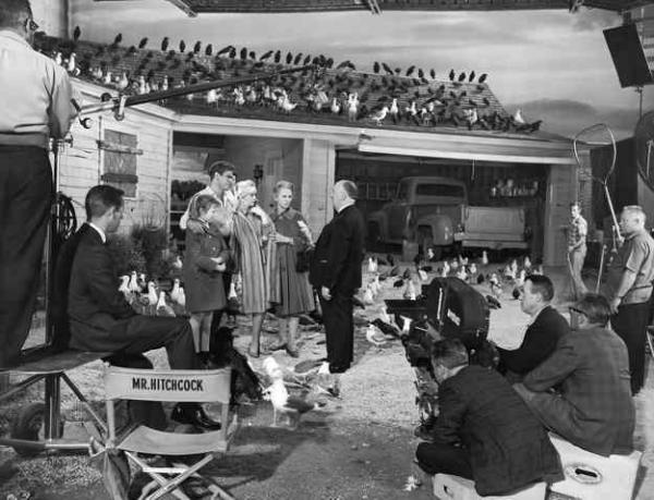 thebirds