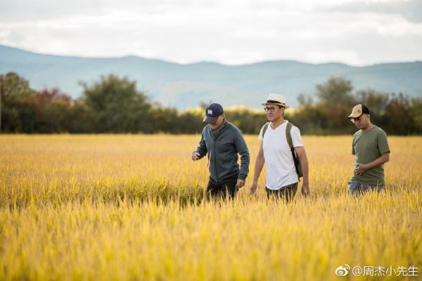 Rời showbiz, cuộc sống 'Nhĩ Khang' Châu Kiệt bình yên lạ với ruộng đồng, hoa cỏ và vụ mùa Rời showbiz, cuộc sống 'Nhĩ Khang' Châu Kiệt bình yên lạ với ruộng đồng, hoa cỏ và vụ mùa