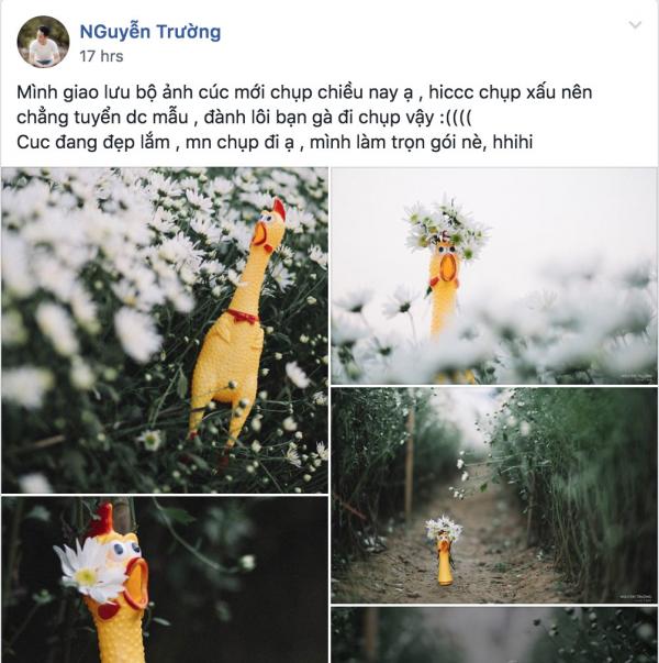 Bộ ảnh 'gà nhựa hốt hoảng bên cúc hoạ mi' của nhiếp ảnh gia ế khách khiến dân mạng cười đến mệt mỏi Bộ ảnh 'gà nhựa hốt hoảng bên cúc hoạ mi' của nhiếp ảnh gia ế khách khiến dân mạng cười đến mệt mỏi