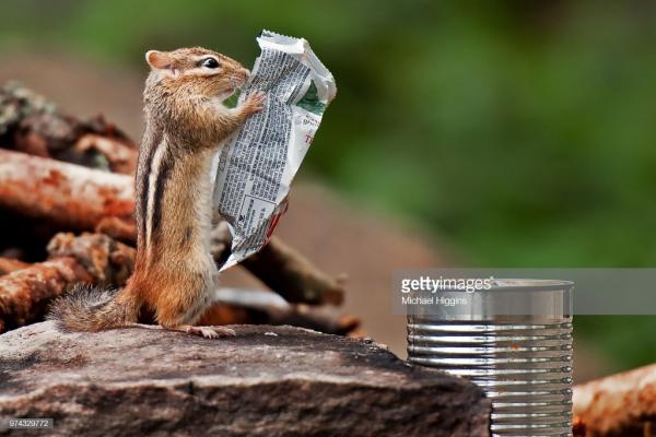 gettyimages 974329772 1024x1024 1