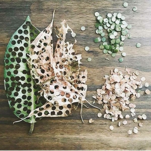 Tròn mắt ngạc nhiên với những ý tưởng tuyệt vời của các cao thủ tái chế Tròn mắt ngạc nhiên với những ý tưởng tuyệt vời của các cao thủ tái chế