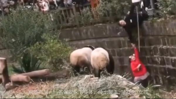 panda 2