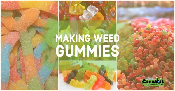weed gummies ft