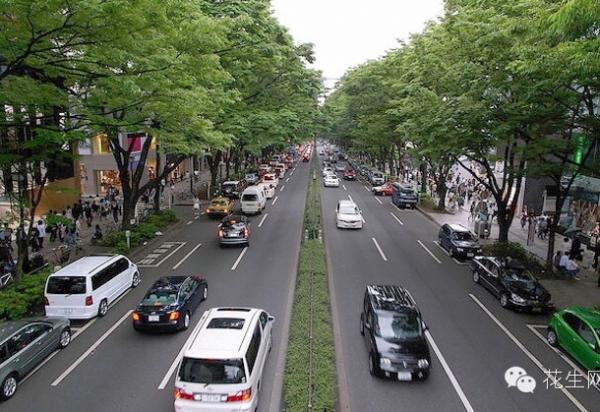 60 thói quen kỳ lạ chỉ dân Nhật mới có 60 thói quen kỳ lạ chỉ dân Nhật mới có