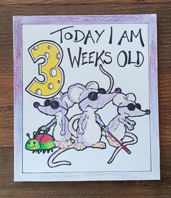 my husband wanted something a bit different for our childrens milestone cards 5c6fbde464fa4 880