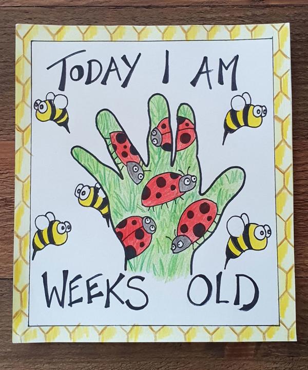 my husband wanted something a bit different for our childrens milestone cards 5c6fbe506de0b 880