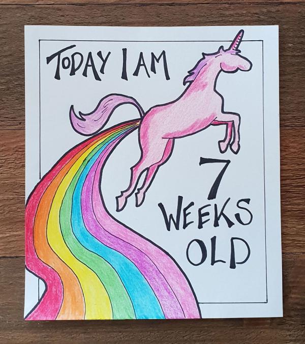 my husband wanted something a bit different for our childrens milestone cards 5c6fbf18c0d83 880