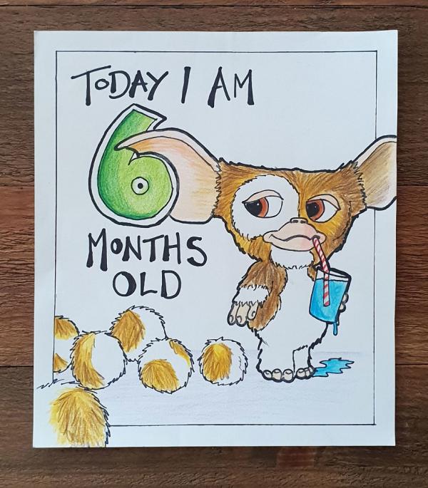 my husband wanted something a bit different for our childrens milestone cards 5c6fc271befad 880
