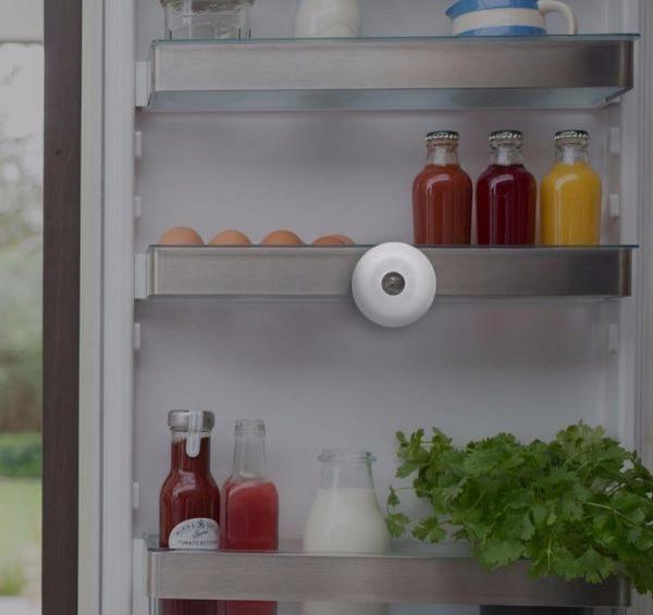fridgecame