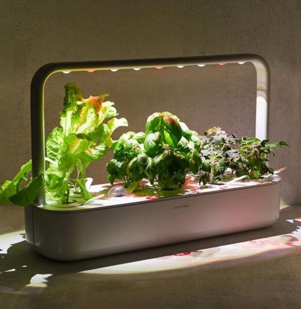 portablegarden