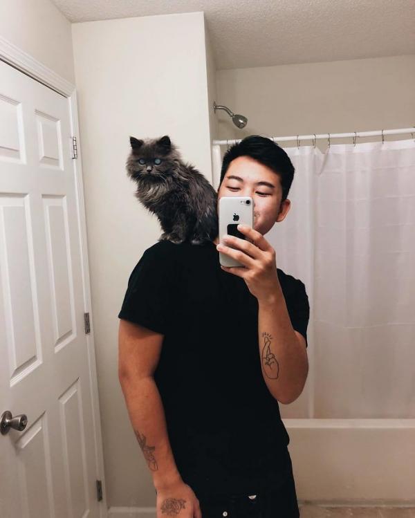 Merlin – chú mèo mù có kích thước chỉ bằng chai nước nổi đình đám cả Twitter Merlin – chú mèo mù có kích thước chỉ bằng chai nước nổi đình đám cả Twitter