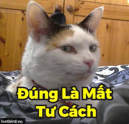 lac thu