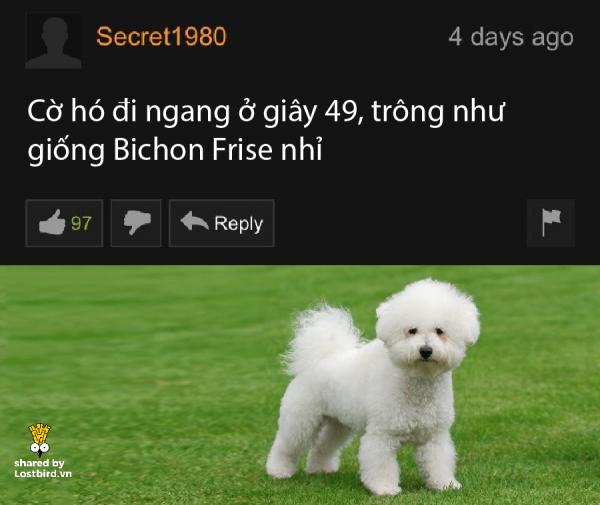 lostbird vn pornhub comment 02
