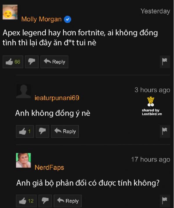 lostbird vn pornhub comment 04