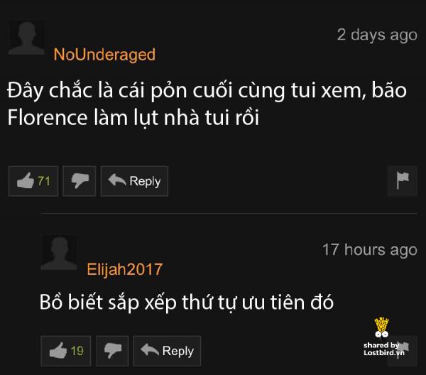 lostbird vn pornhub comment 08