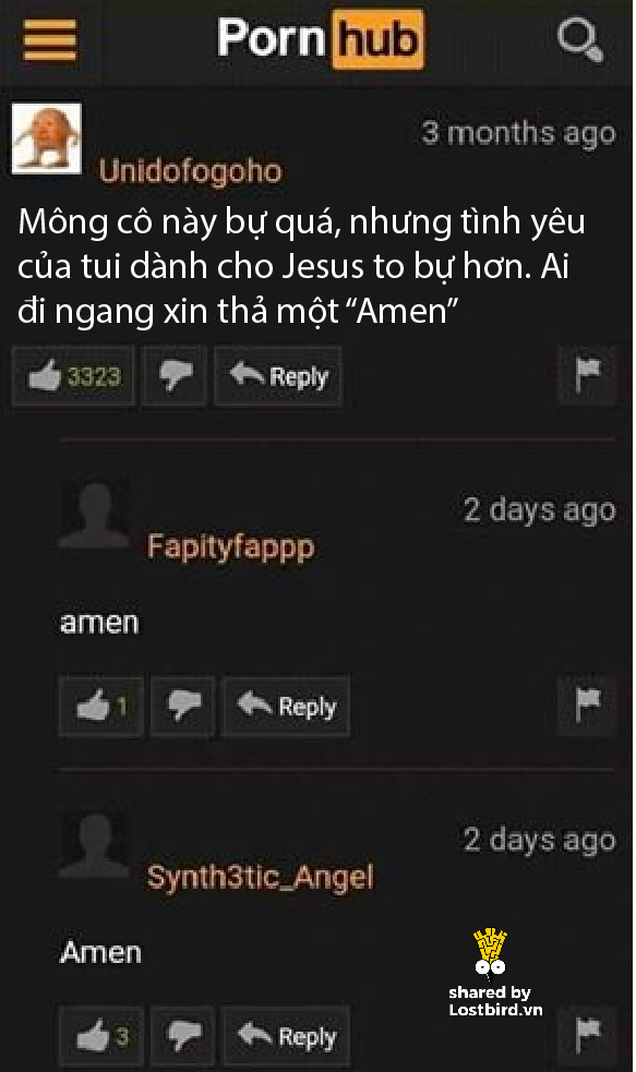 lostbird vn pornhub comment 13