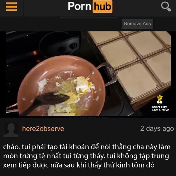lostbird vn pornhub comment 15