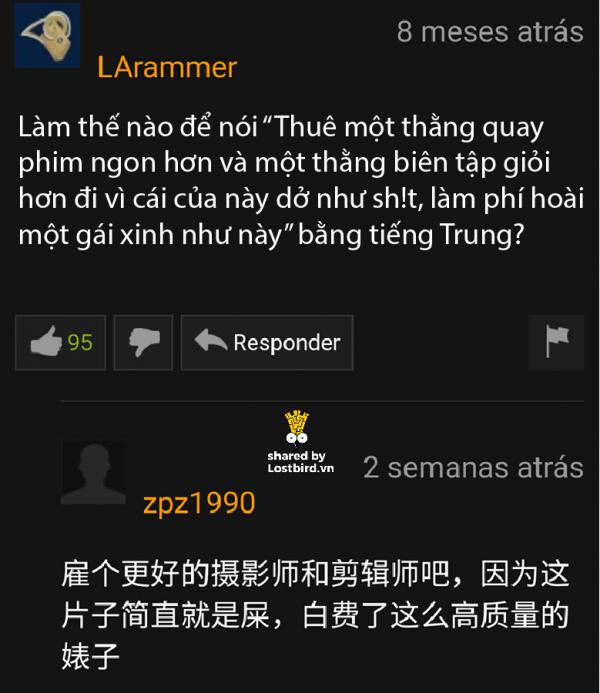 lostbird vn pornhub comment 20