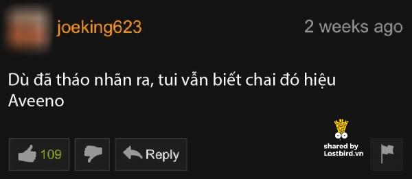 lostbird vn pornhub comment 21 1
