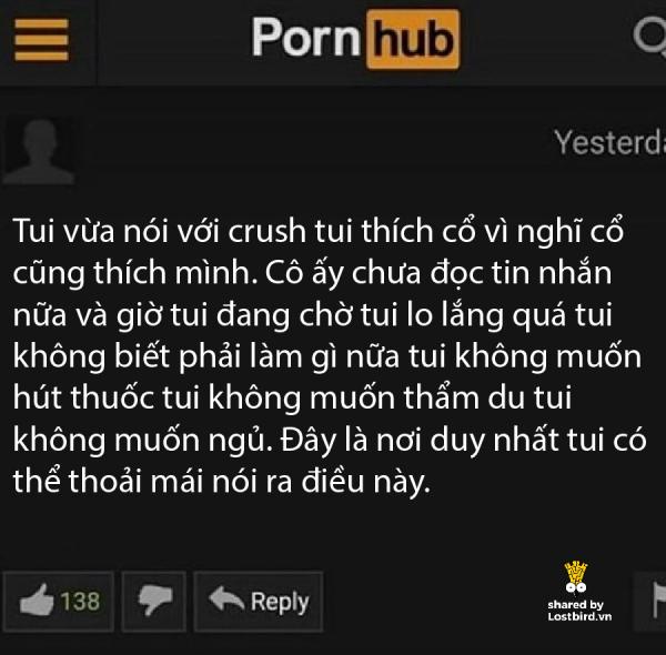 lostbird vn pornhub comment 22