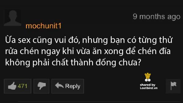 lostbird vn pornhub comment 23