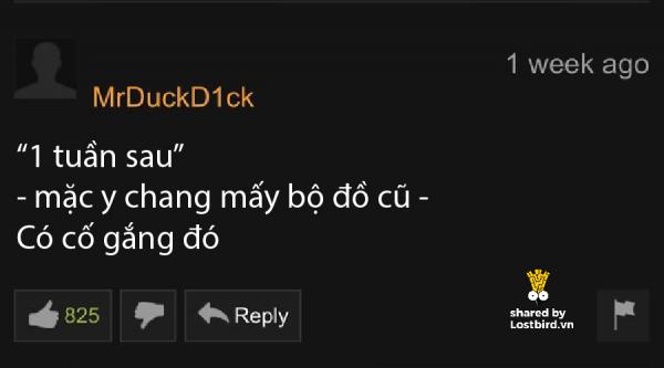 lostbird vn pornhub comment 24