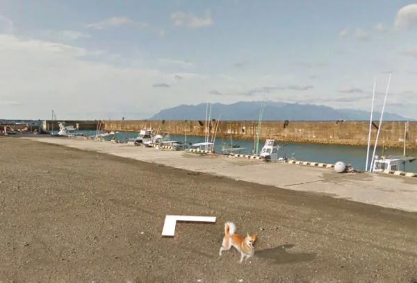 Google Street View 'khóc' trong bất lực vì mọi khung ảnh đều bị em chó này chiếm chỗ Google Street View 'khóc' trong bất lực vì mọi khung ảnh đều bị em chó này chiếm chỗ