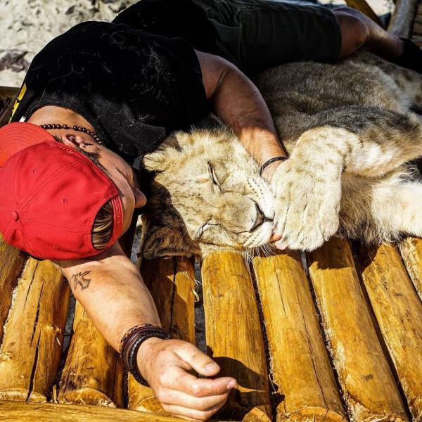 this guy from switzerland left a prestigious job sold all his things and moved to africa to rescue mutilated animals 5c819ed774230 880