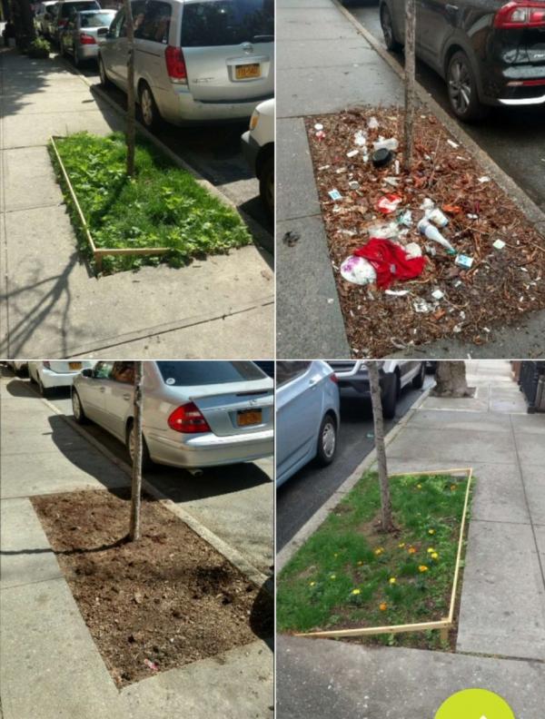 '#trashtag' - Trào lưu 'cùng nhau dọn sạch rác' đáng yêu nhất hệ Mặt Trời! '#trashtag' - Trào lưu 'cùng nhau dọn sạch rác' đáng yêu nhất hệ Mặt Trời!