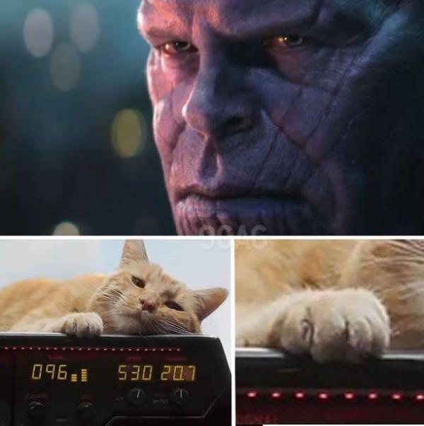 Goose và Nick Fury đang trở thành nguồn chế meme dồi dào nhất trên Internet Goose và Nick Fury đang trở thành nguồn chế meme dồi dào nhất trên Internet