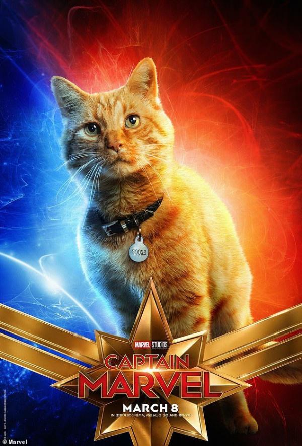 Những chú mèo muốn trở thành Goose của 'Captain Marvel': Sống trên đời ai chẳng có ước mơ Những chú mèo muốn trở thành Goose của 'Captain Marvel': Sống trên đời ai chẳng có ước mơ