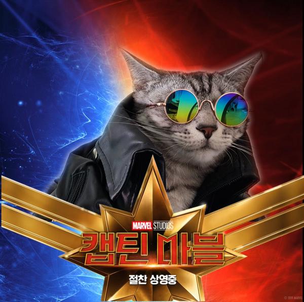 Những chú mèo muốn trở thành Goose của 'Captain Marvel': Sống trên đời ai chẳng có ước mơ Những chú mèo muốn trở thành Goose của 'Captain Marvel': Sống trên đời ai chẳng có ước mơ
