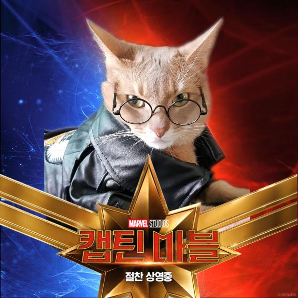 Những chú mèo muốn trở thành Goose của 'Captain Marvel': Sống trên đời ai chẳng có ước mơ Những chú mèo muốn trở thành Goose của 'Captain Marvel': Sống trên đời ai chẳng có ước mơ