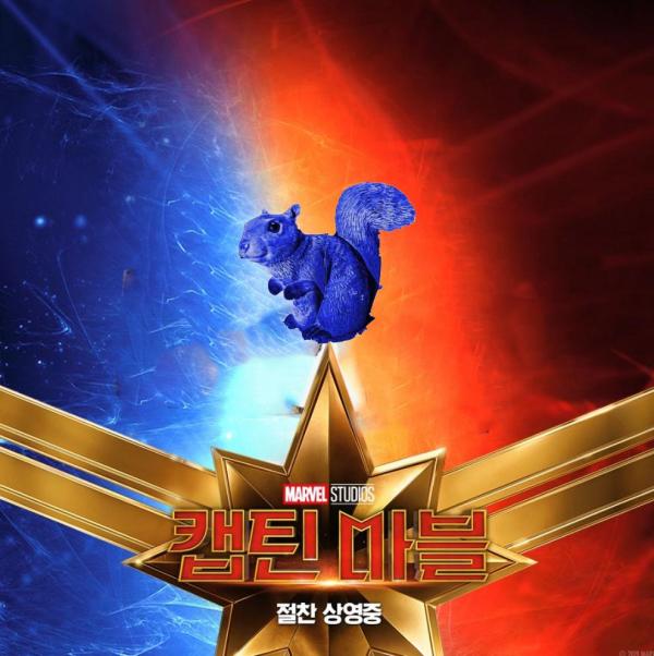 Những chú mèo muốn trở thành Goose của 'Captain Marvel': Sống trên đời ai chẳng có ước mơ Những chú mèo muốn trở thành Goose của 'Captain Marvel': Sống trên đời ai chẳng có ước mơ