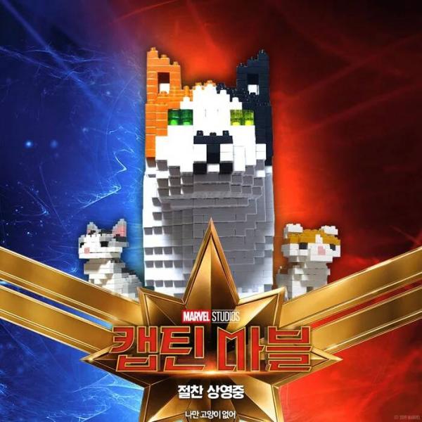 Những chú mèo muốn trở thành Goose của 'Captain Marvel': Sống trên đời ai chẳng có ước mơ Những chú mèo muốn trở thành Goose của 'Captain Marvel': Sống trên đời ai chẳng có ước mơ