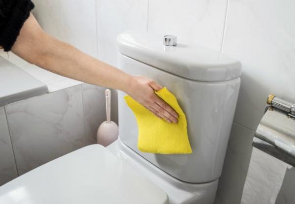 howtocleanatoilet