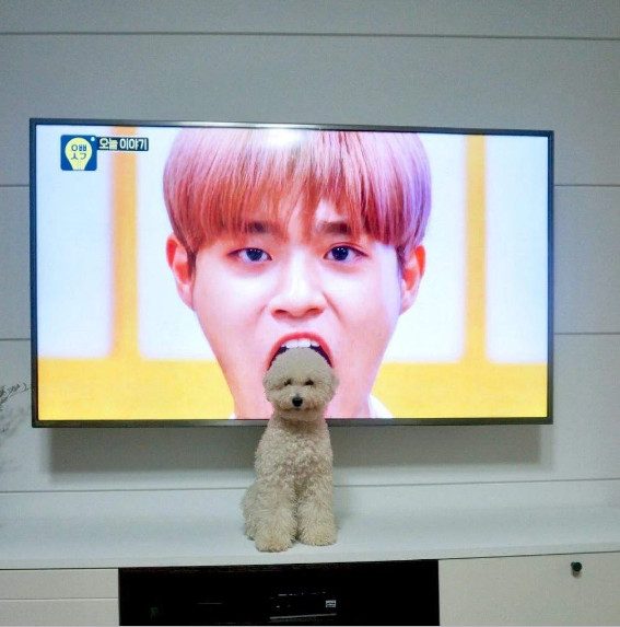 Những hình ảnh này của các Idol K-Pop cần được 'bay màu' khỏi Internet càng sớm càng tốt Những hình ảnh này của các Idol K-Pop cần được 'bay màu' khỏi Internet càng sớm càng tốt