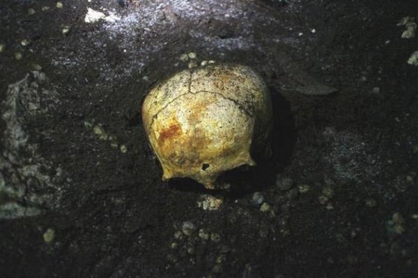 sac uayum skull