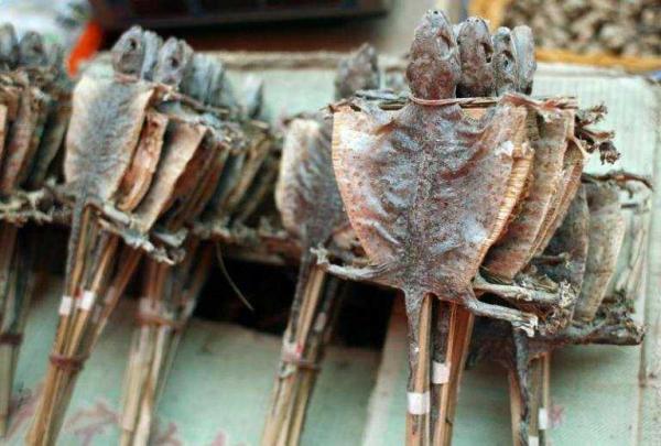Những món ăn kinh dị nhưng lại là đặc sản của các nước trên thế giới Những món ăn kinh dị nhưng lại là đặc sản của các nước trên thế giới
