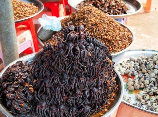 Những món ăn kinh dị nhưng lại là đặc sản của các nước trên thế giới Những món ăn kinh dị nhưng lại là đặc sản của các nước trên thế giới
