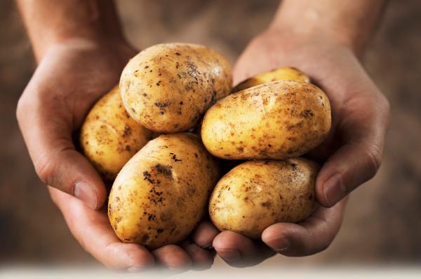 Những loại thực phẩm hoàn toàn có thể 'ăn sống nuốt tươi' Những loại thực phẩm hoàn toàn có thể 'ăn sống nuốt tươi'