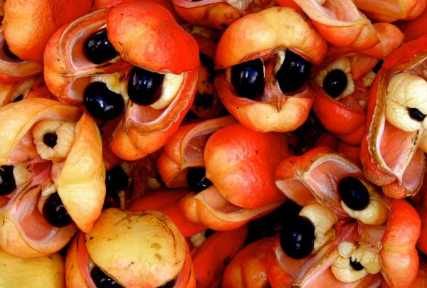 Những loại thực phẩm hoàn toàn có thể 'ăn sống nuốt tươi' Những loại thực phẩm hoàn toàn có thể 'ăn sống nuốt tươi'