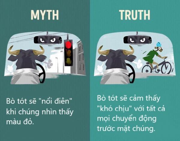 Sửa chữa những định kiến ai cũng tưởng vậy mà không phải vậy (P1) Sửa chữa những định kiến ai cũng tưởng vậy mà không phải vậy (P1)