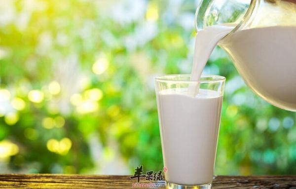 Thành phần chủ yếu của sữa là nước và protein, tại sao nó lại được tung hô như hiện nay? Thành phần chủ yếu của sữa là nước và protein, tại sao nó lại được tung hô như hiện nay?