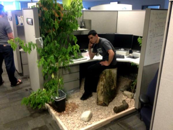 kartinki pro ofis smeshnie 1