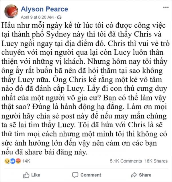 homeless man chris pet rat stolen sydney 1 5caf45245959f 700