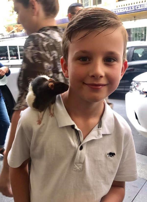 homeless man chris pet rat stolen sydney 4 5caf452cde55e 700