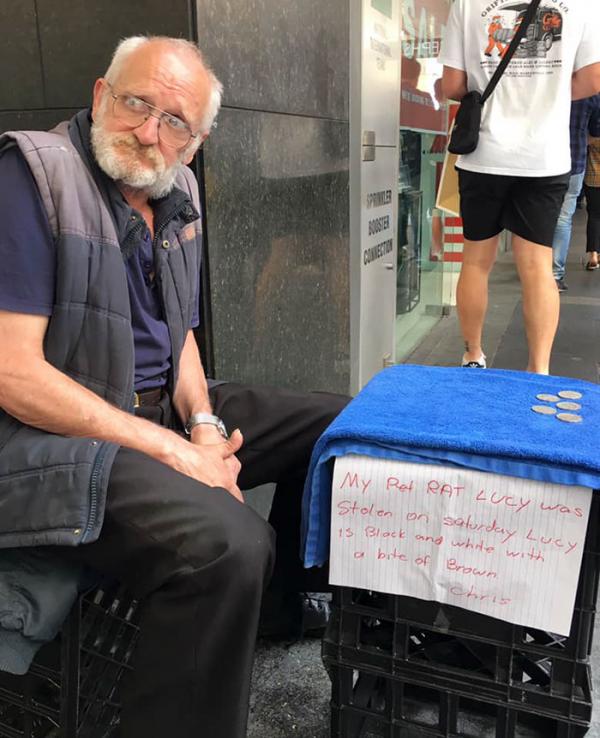homeless man chris pet rat stolen sydney 5 5caf452fbc2e3 700