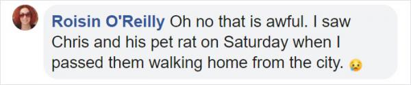homeless man chris pet rat stolen sydney 9