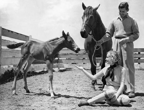 dien vien clark gable va carole lombard